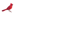 The Tom Team Samson Properties